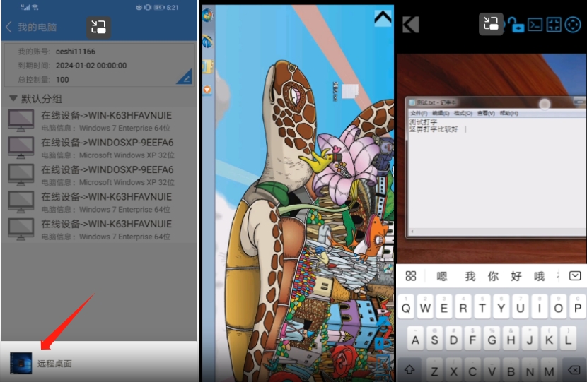 灰鴿子、向日葵、To desk、Team Viewer、Anydesk