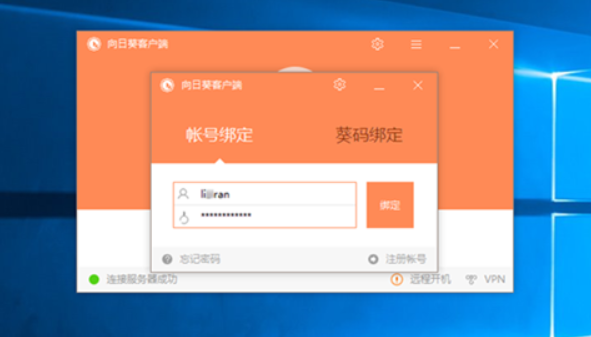 灰鴿子、向日葵、To desk、Team Viewer、Anydesk