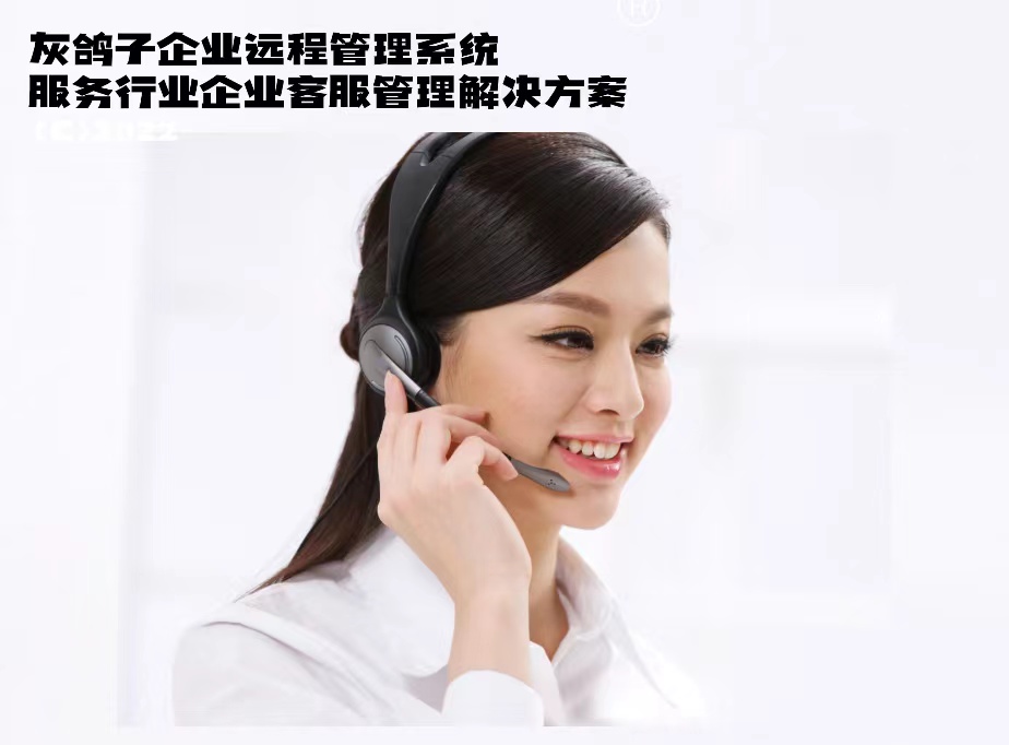 灰鴿子、向日葵、To desk、Team Viewer、Anydesk