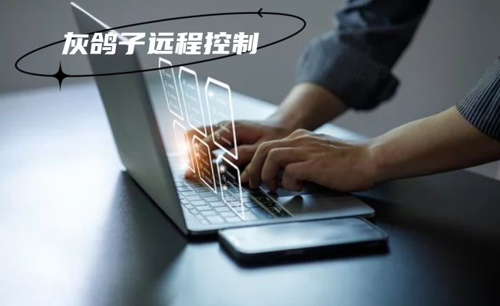 灰鴿子、向日葵、To desk、Team Viewer、Anydesk